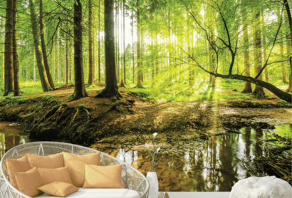 Bos & Jungle fotobehang