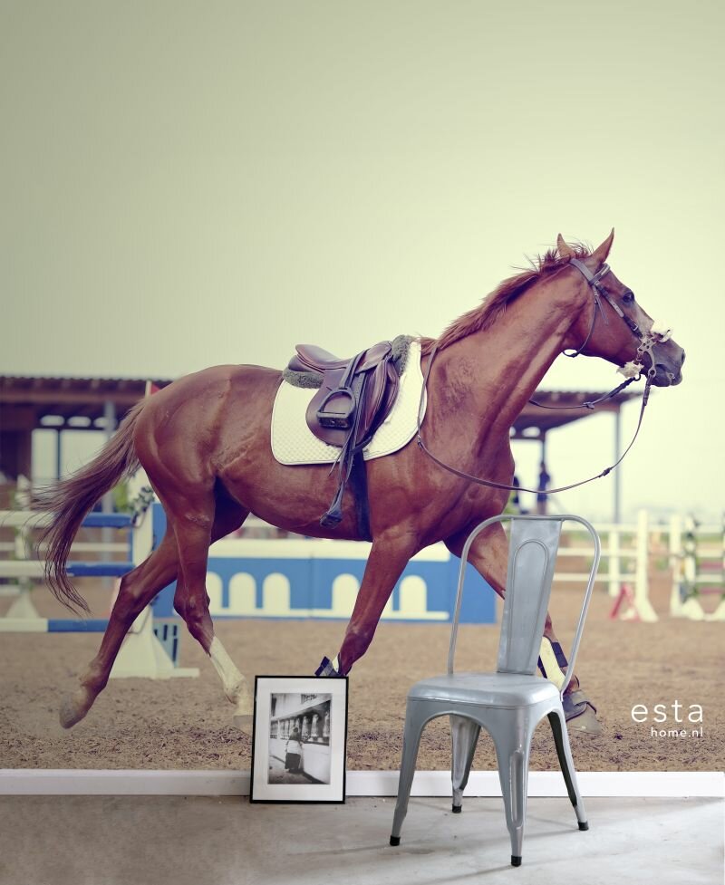 Esta Walls for Kids XL2 | College 158806 (Met Gratis Lijm)