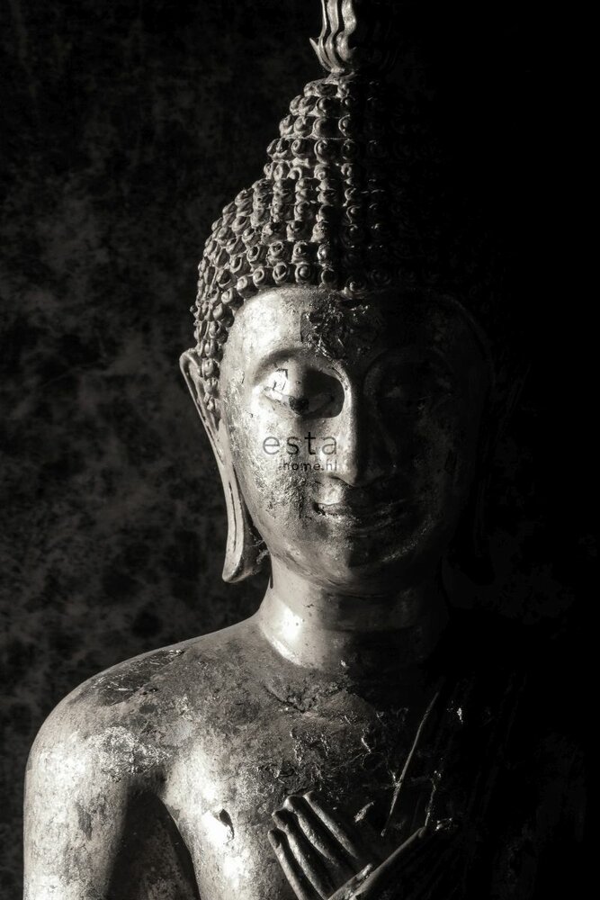 Esta XL2 - Photowalls | Boho Chic 158823 (Met Gratis Lijm)