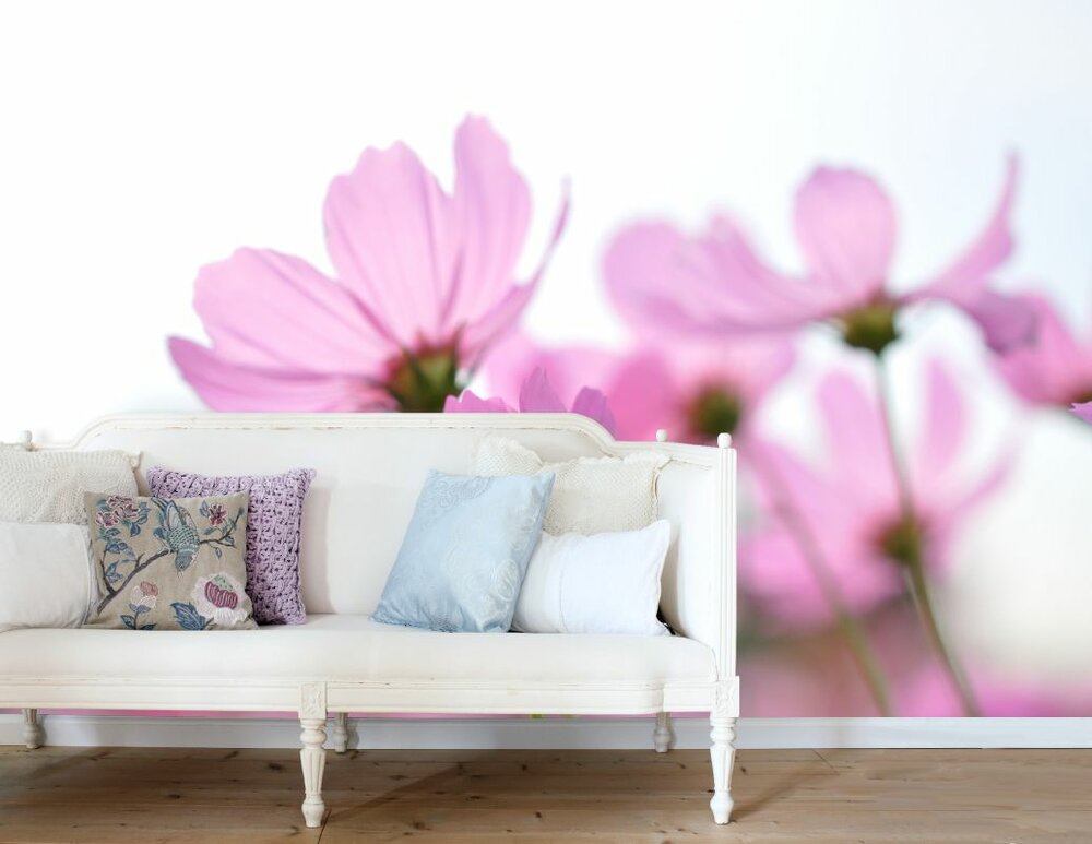 Esta Ginger 158009 (Met Gratis Lijm)