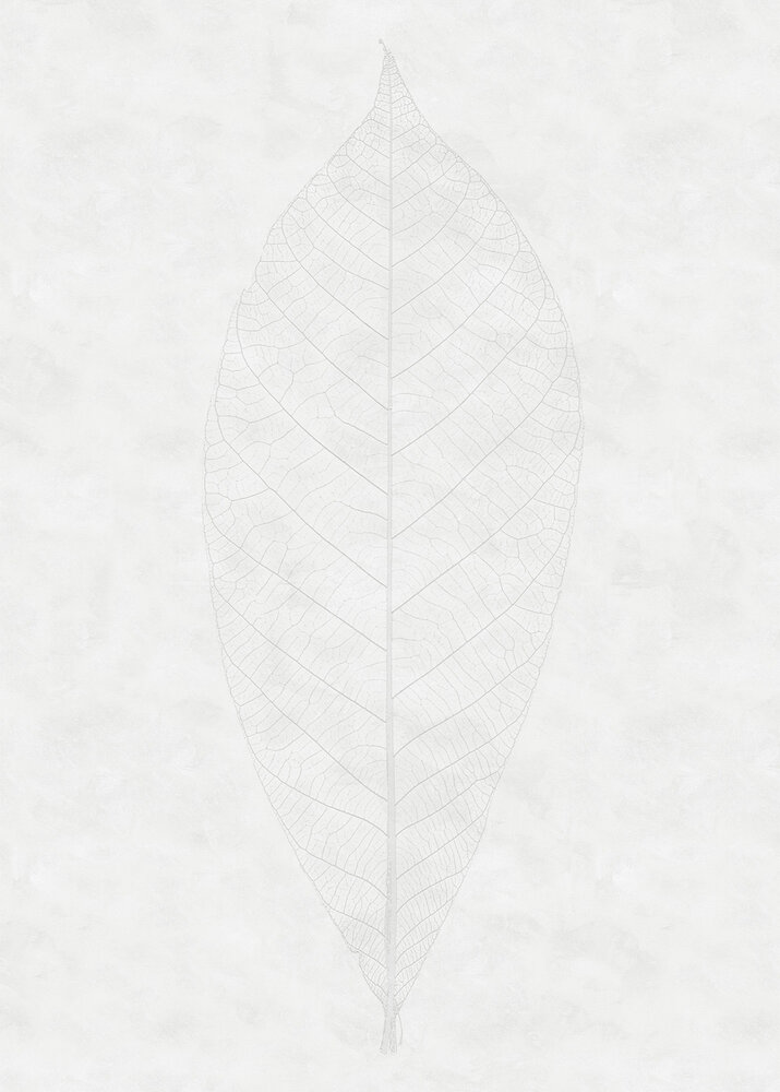 Komar Raw Decent Leaf R2-012