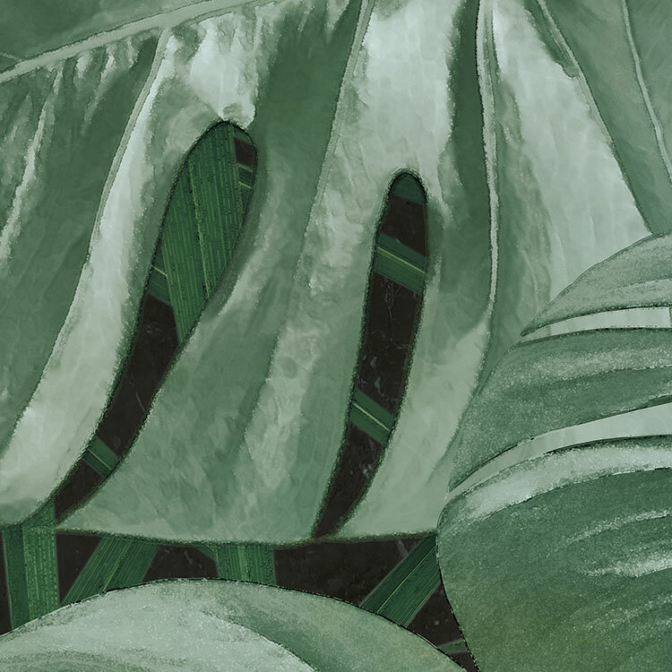 Komar Dots Novel Monstera D1-023