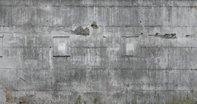 Rasch Factory III 445510