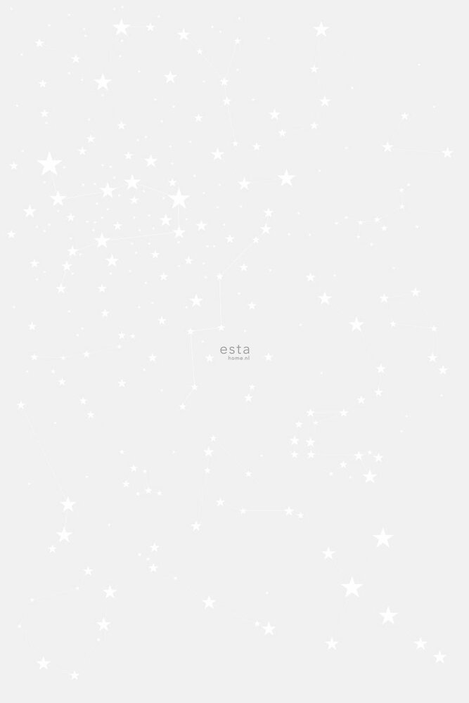 Esta Walls for Kids XL2 158857 (Met Gratis Lijm)