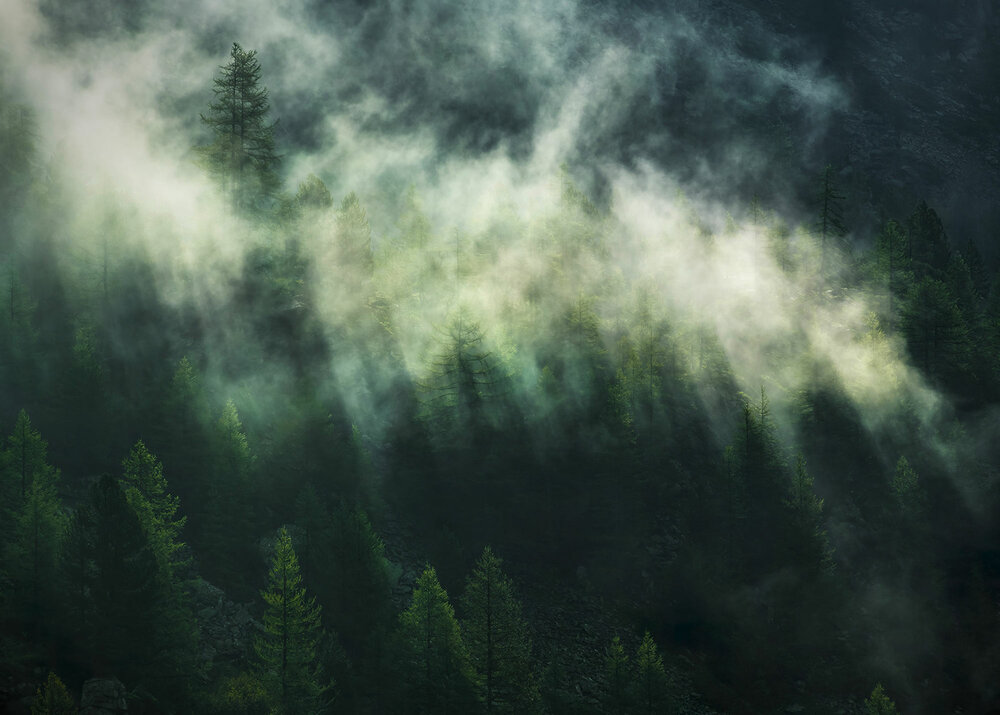 Komar Misty Crowns X7-1003