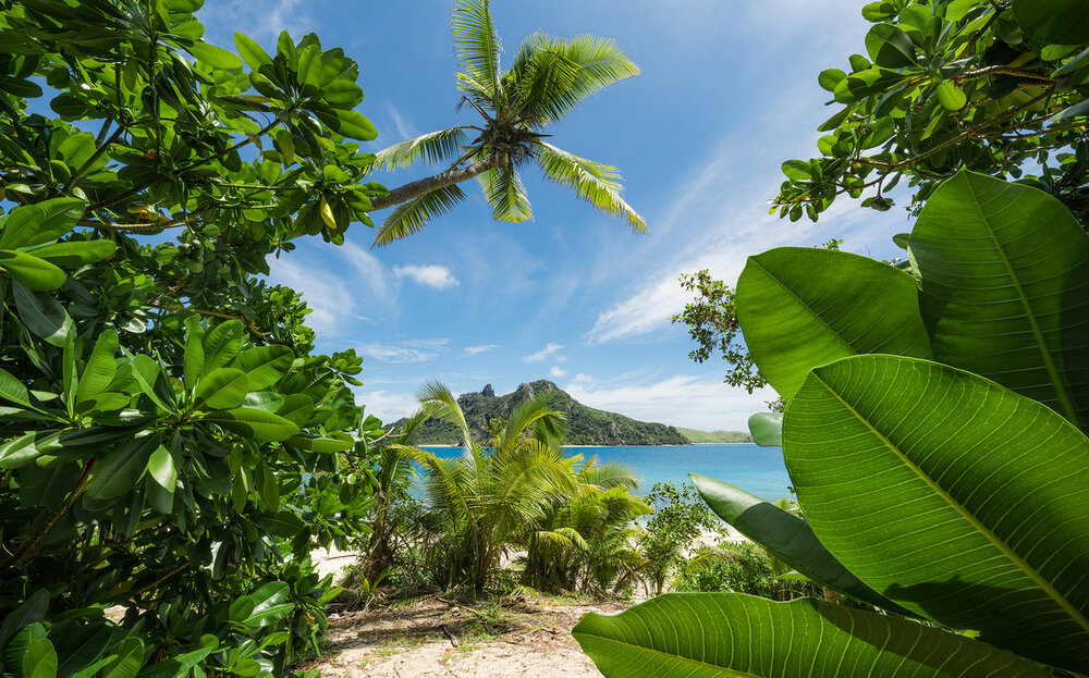 Komar Cast Away Jungle SHX9-106