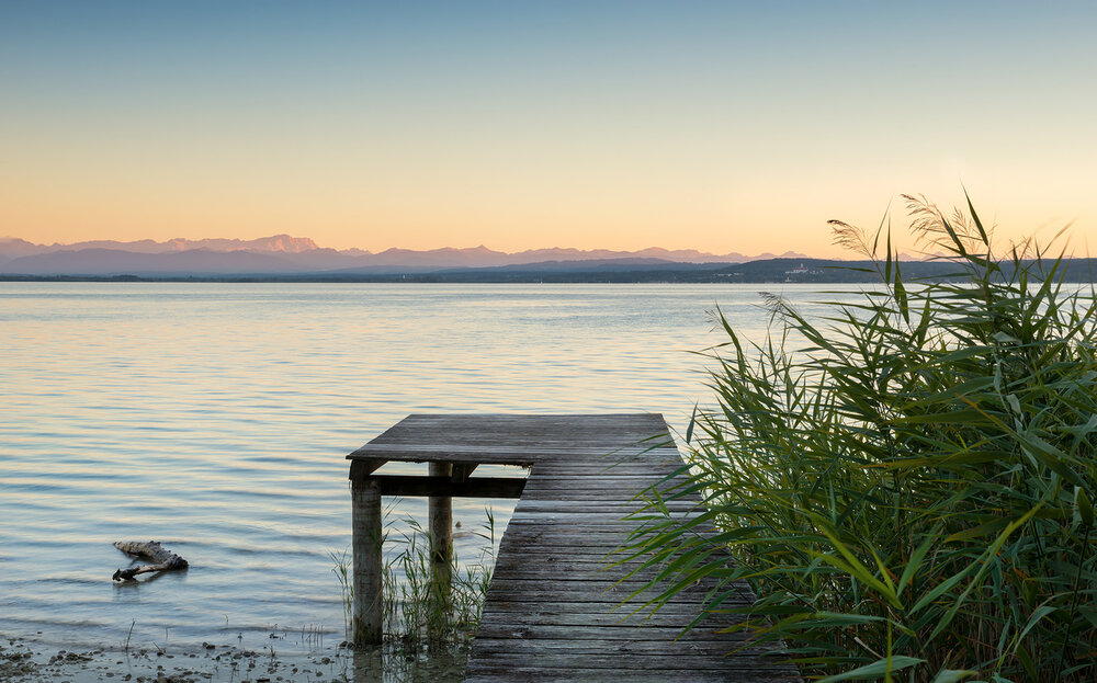 Komar Pastell SHX9-067