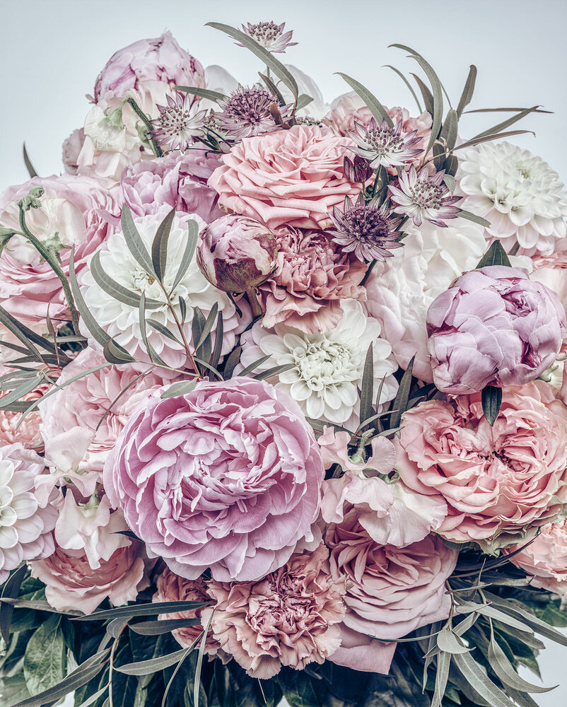 Komar Zestful LJX4-010