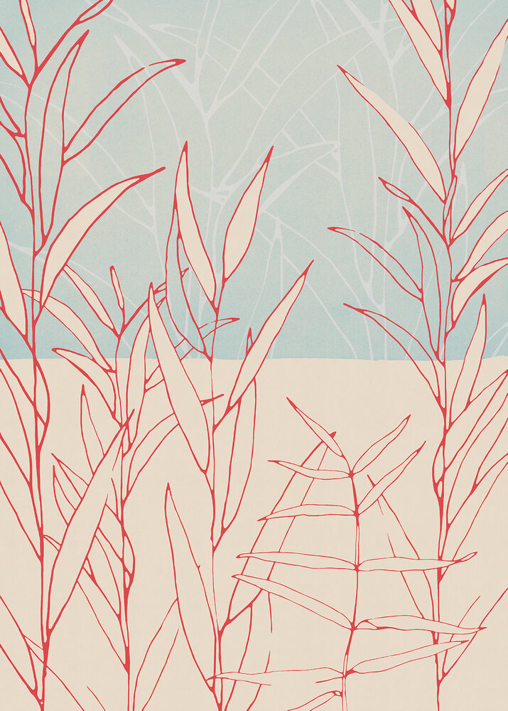 Komar Plain INX4-023