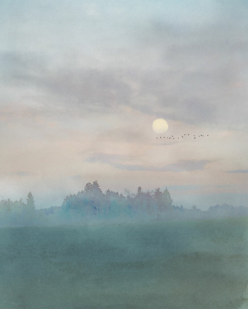 Komar Hazy Hush IF2-006