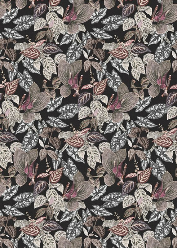 BehangExpresse Checking Out Nature TD4135 (Met Gratis Lijm)