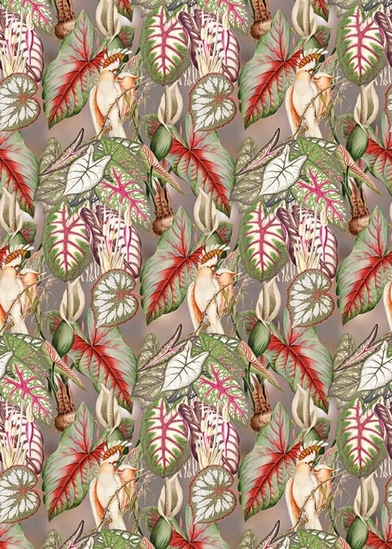 BehangExpresse Checking Out Nature TD4138 (Met Gratis Lijm)