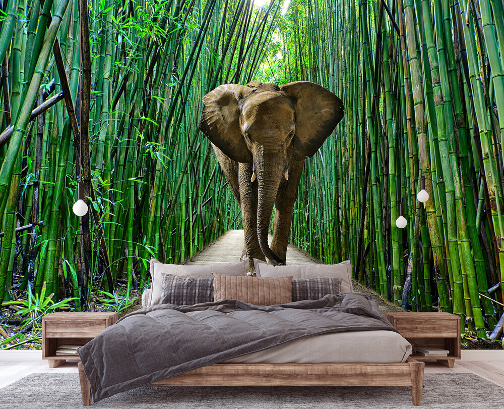 Olifant Fotobehang 14344