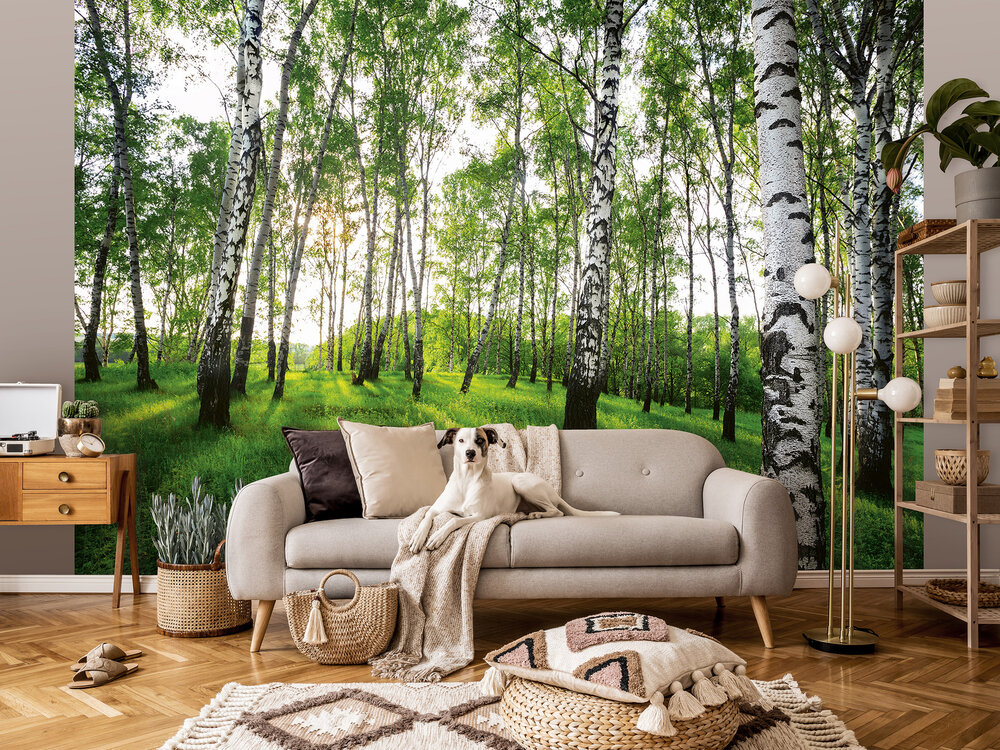 Berkenbos Fotobehang 14175