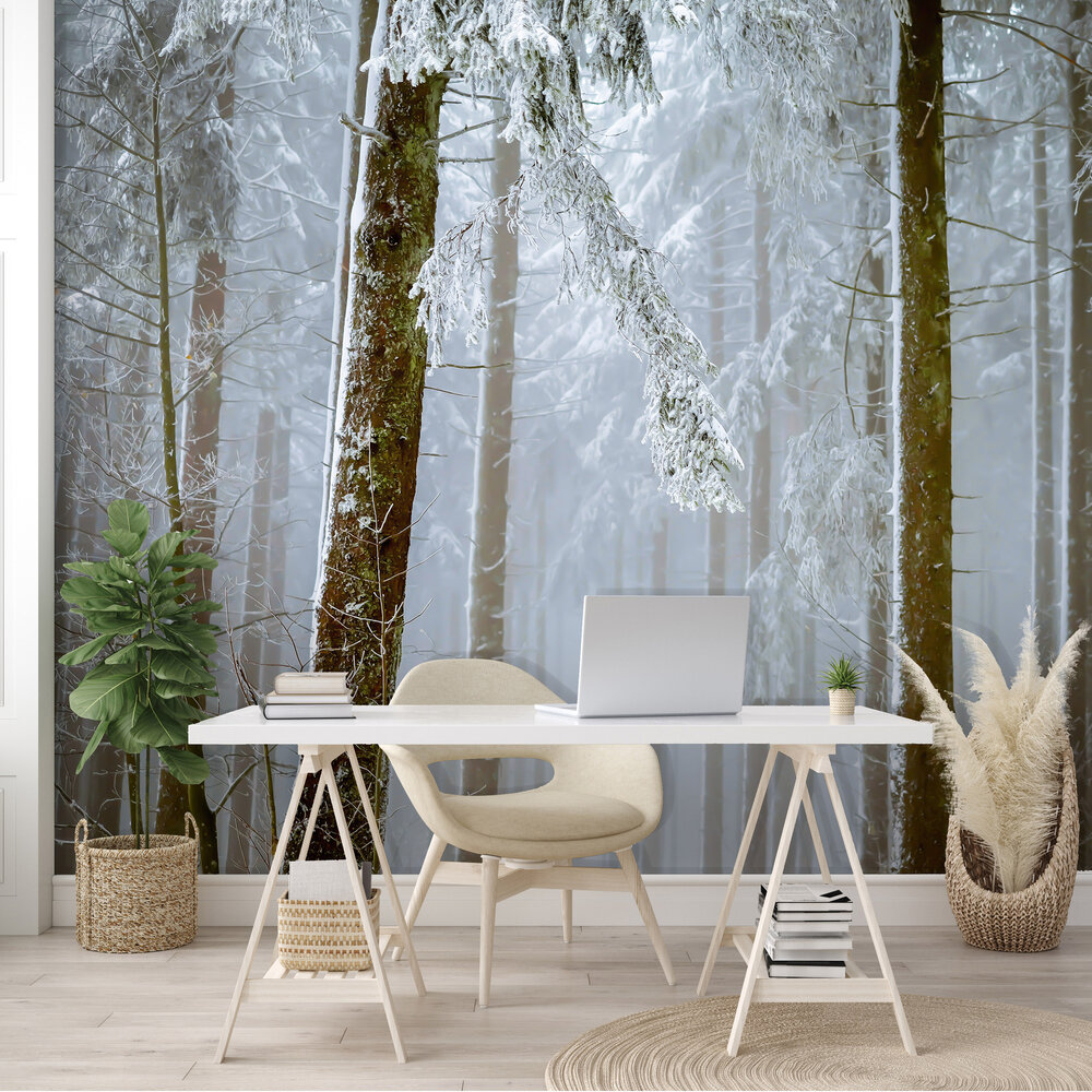 Mistig Fotobehang 13919