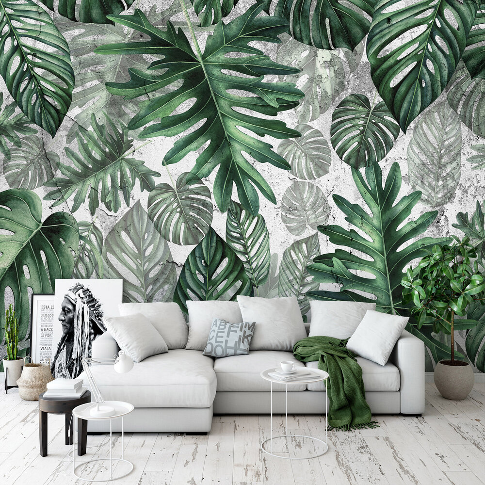 Monstera Fotobehang 13781