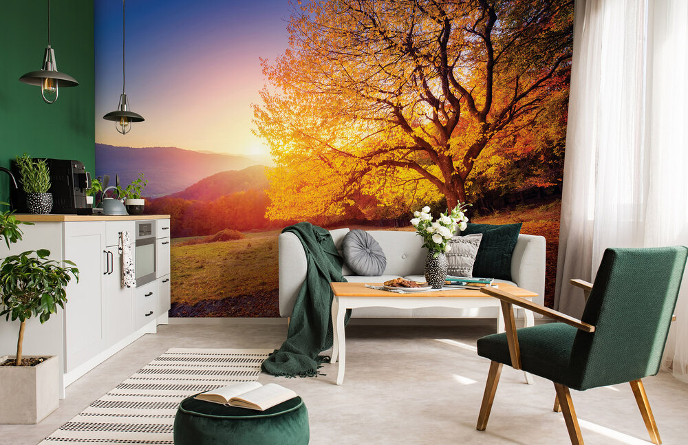 Kleurrijk Bos Fotobehang 12640