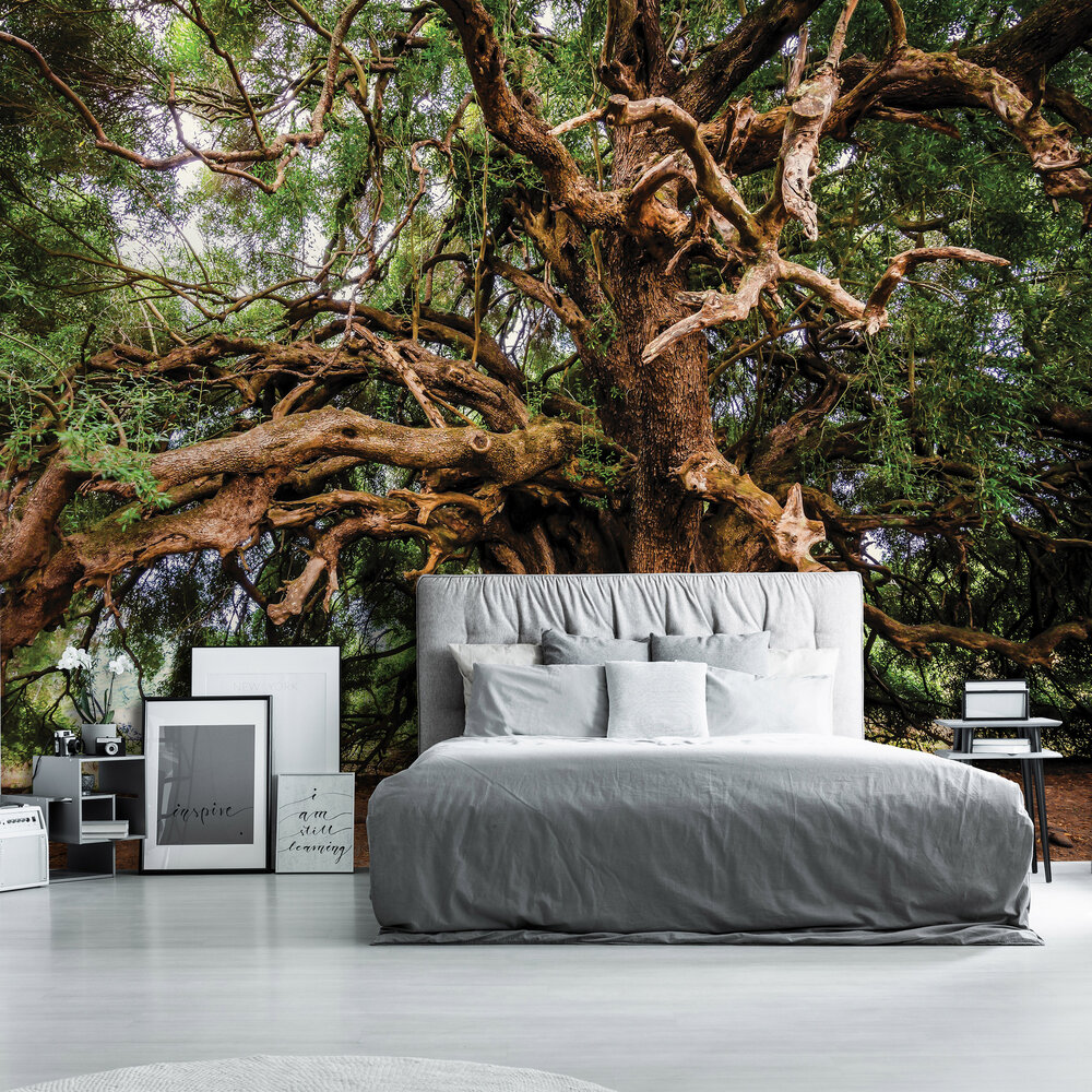 Oude Boom Fotobehang 13011