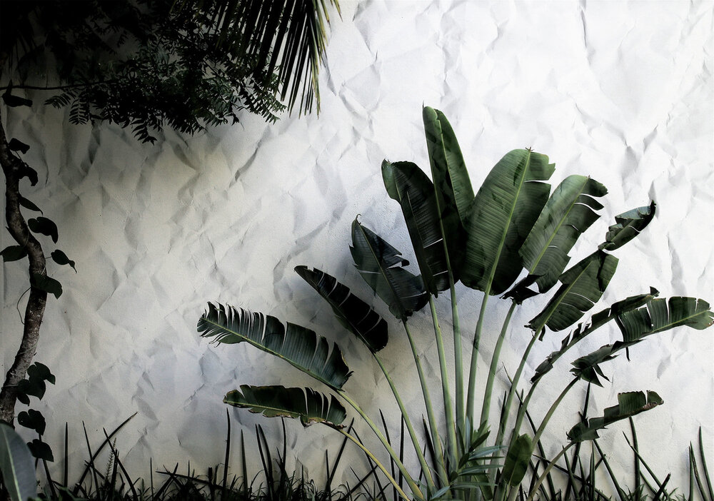 Botanisch Fotobehang 12595