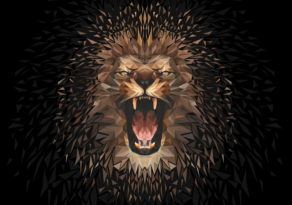 Leeuw Fotobehang 11559