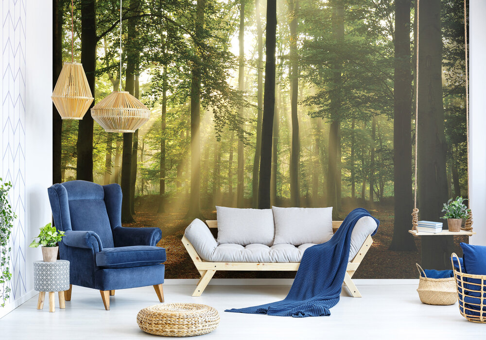 bos fotobehang zonneschijn