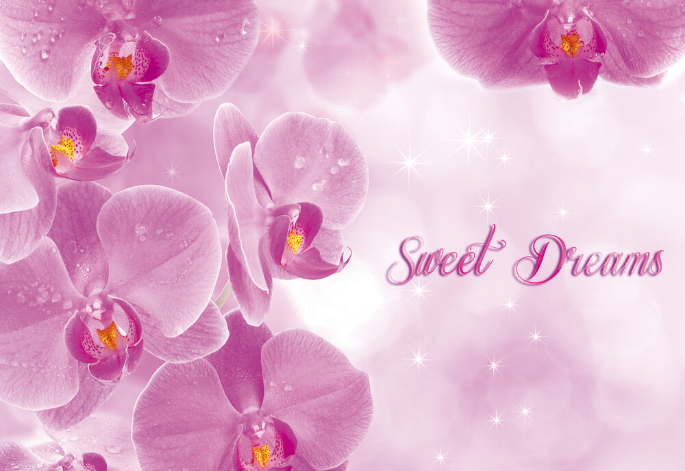 Bloemen Fotobehang 778