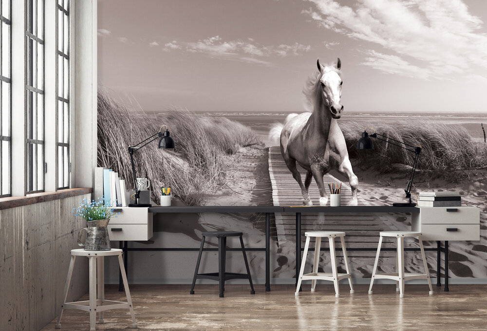 Paard op het strand Fotobehang 3136