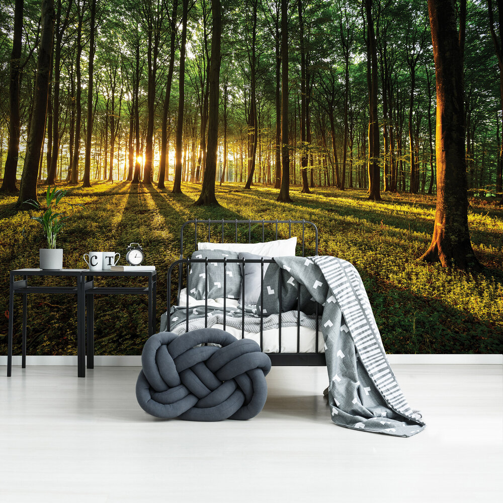 Bomen Fotobehang 2225