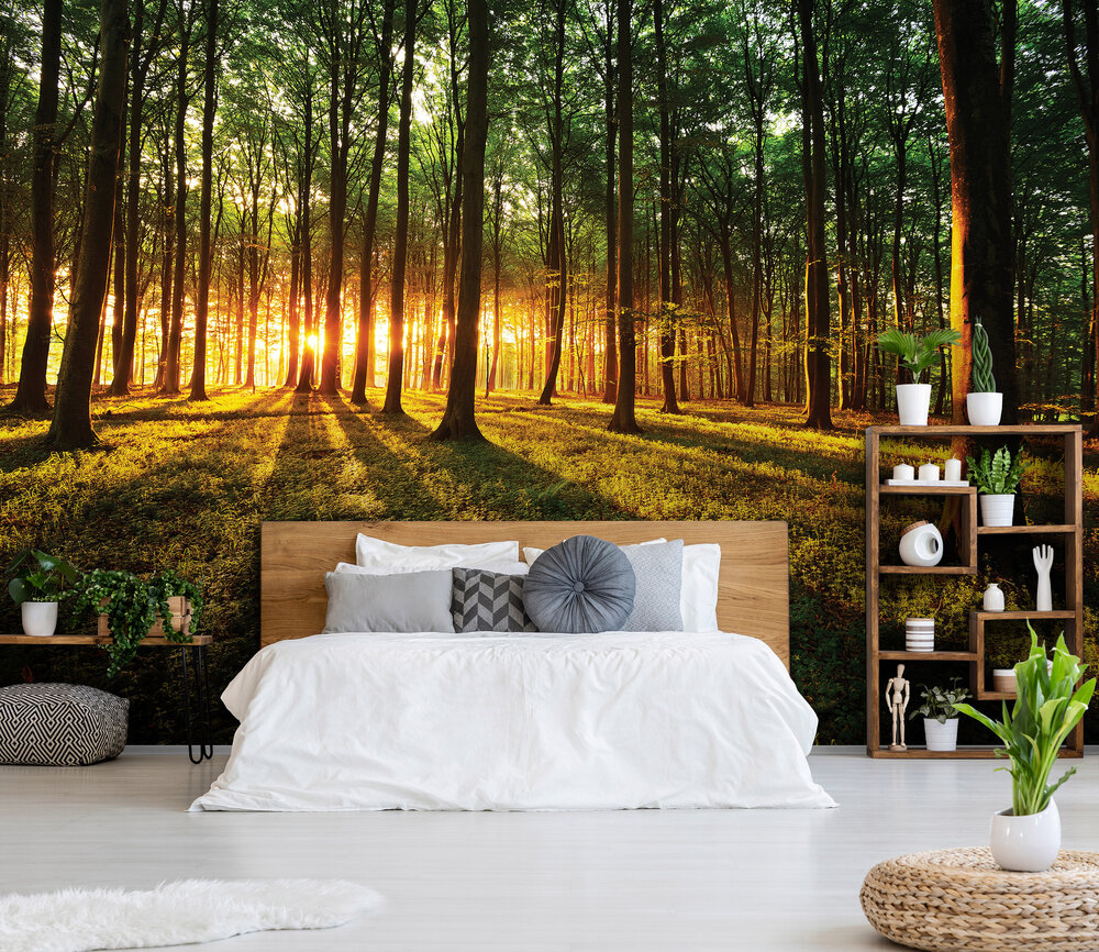 Bomen Fotobehang 2226