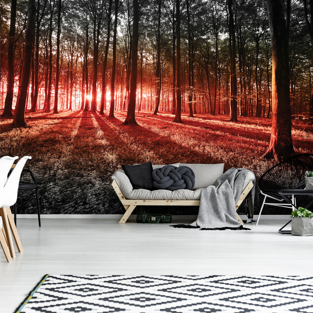 Bomen Fotobehang 2227