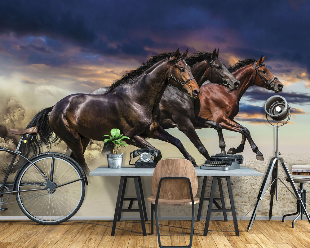 Paarden Fotobehang 1217