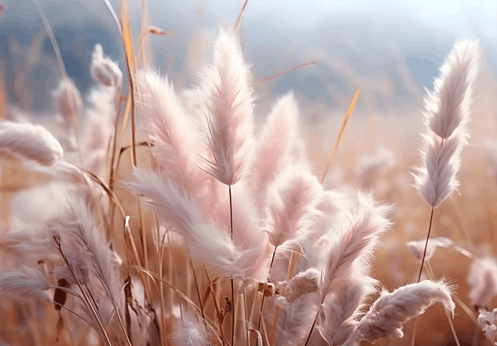 Boho Pampas Gras Fotobehang 14777