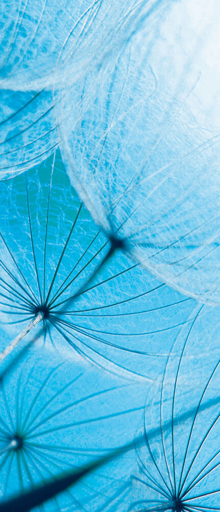 Abstract Art Deurposter Fotobehang 586VET