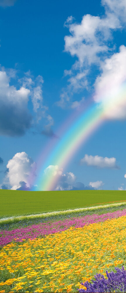 Flowers Rainbow Sky Abstract Deurposter Fotobehang 018VET