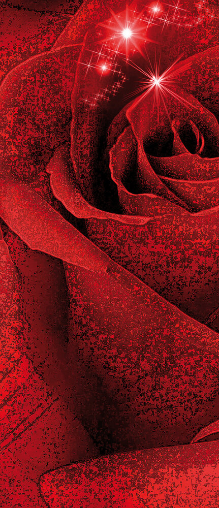 Deurposter Fotobehang 339VET