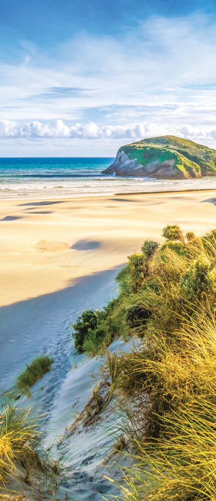 Deurposter Fotobehang 3611VET