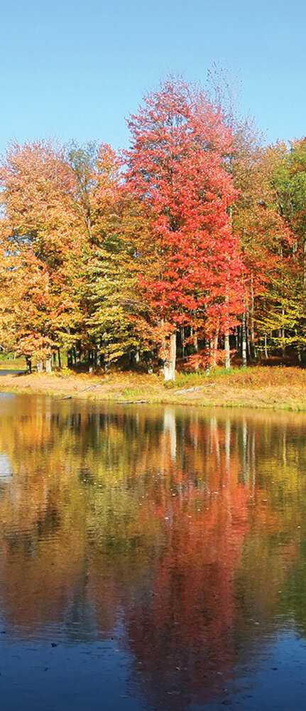 Lake Deurposter Fotobehang 12113VET
