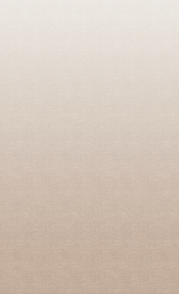 BN Wallcoverings Linen Stories 200304