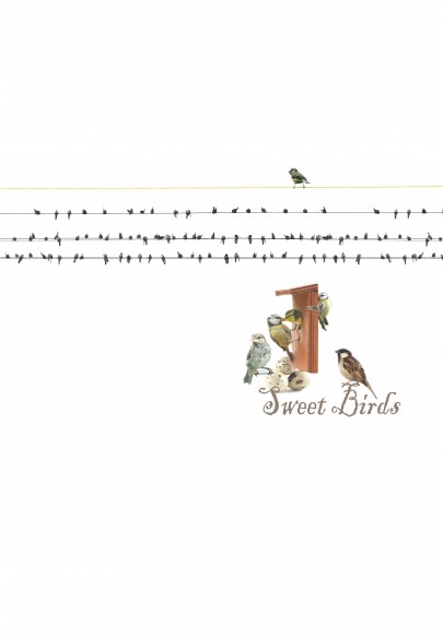 BN Wallcoverings Cool Dudes &amp; Funky Girlz 30003 SweetBirds