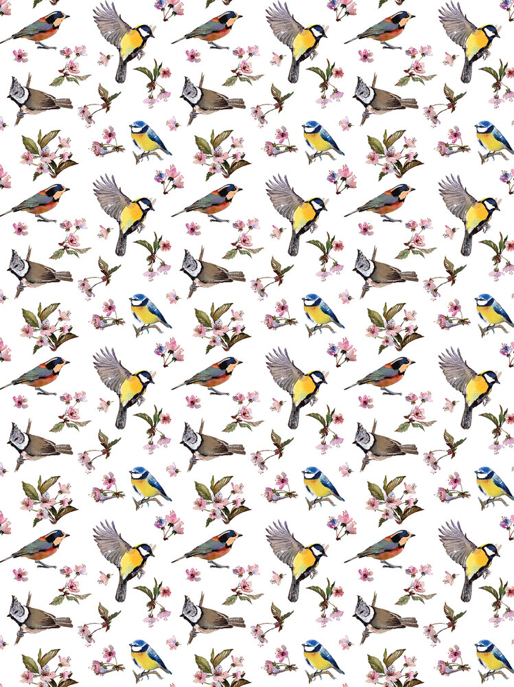 Little Birds and Floral Patterns Fotobehang 10401VEA
