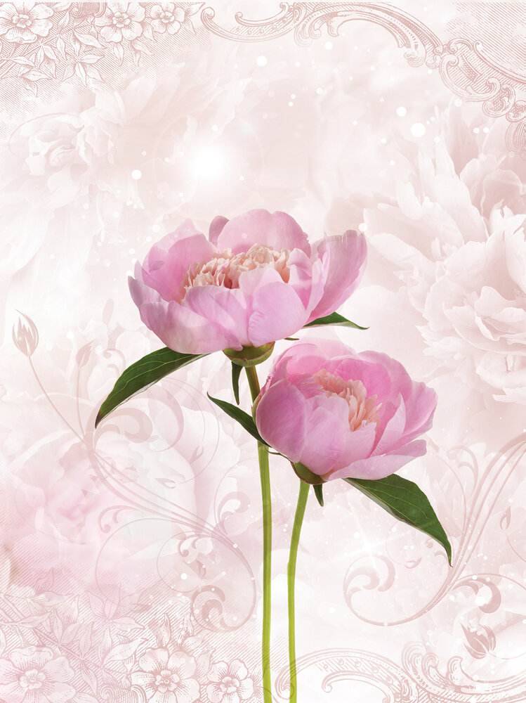 Pink Peony Fotobehang 10295VEA