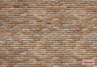 Komar STORIES BACKSTEIN 8-741