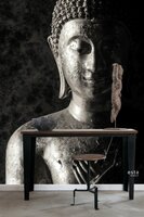 Esta XL2 - Photowalls | Boho Chic 158823 (Met Gratis Lijm)