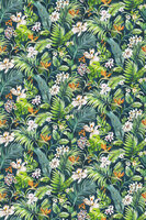 Esta Wunderkammer 357207 (Met Gratis Lijm)