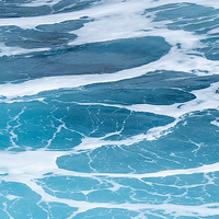 Komar Dots Aloha  D1-041