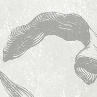 Komar Dots Barock Beauty D1-031