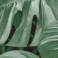 Komar Dots Novel Monstera D1-023