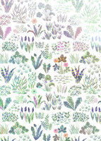 Komar Into Adventure Flower Farm IAX4-0006