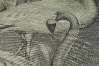 Arte D&eacute;cors &amp; Panoramiques - Flamencos Andinos 97610 Almond Green