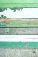 Studio Ditte Sloophout Groen